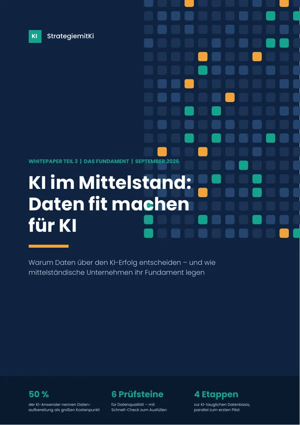 Cover Teil 3: Daten fit machen für KI